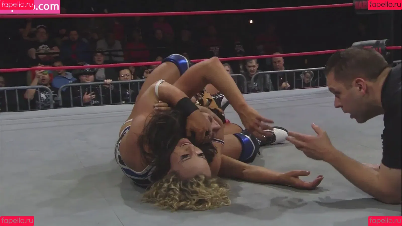 Mickie James Onlyfans Photo Gallery 