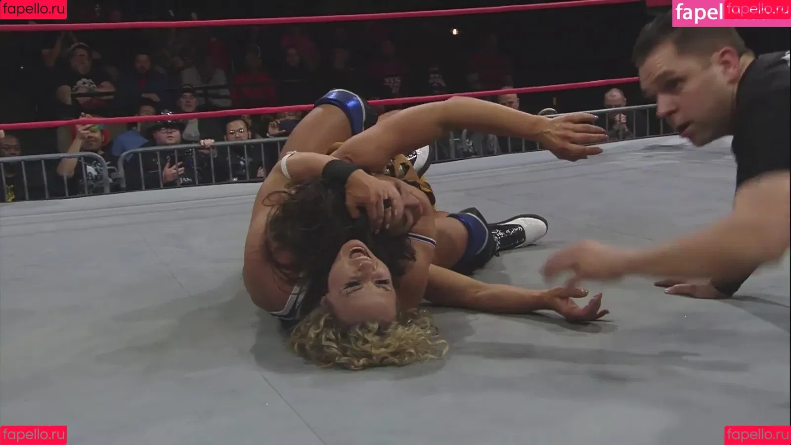 Mickie James Onlyfans Photo Gallery 