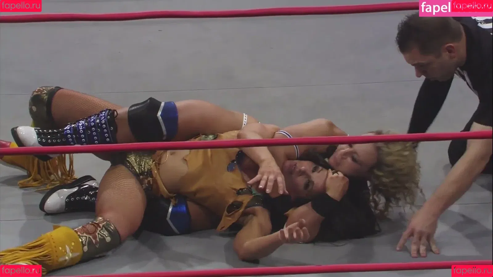 Mickie James Onlyfans Photo Gallery 