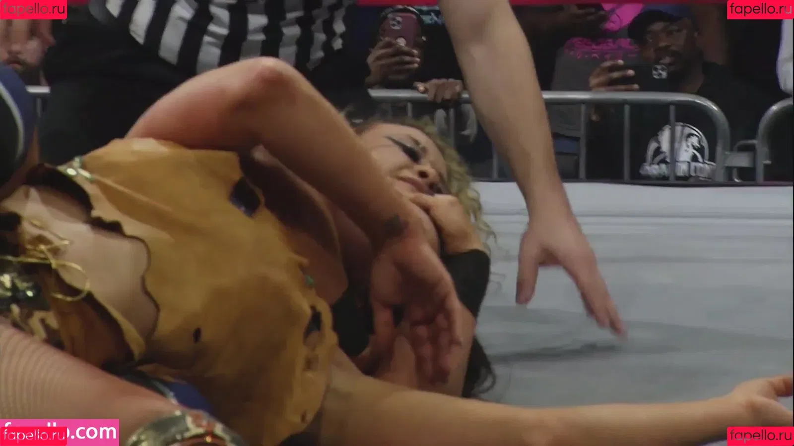 Mickie James Onlyfans Photo Gallery 