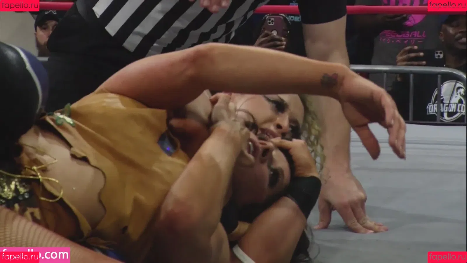 Mickie James Onlyfans Photo Gallery 