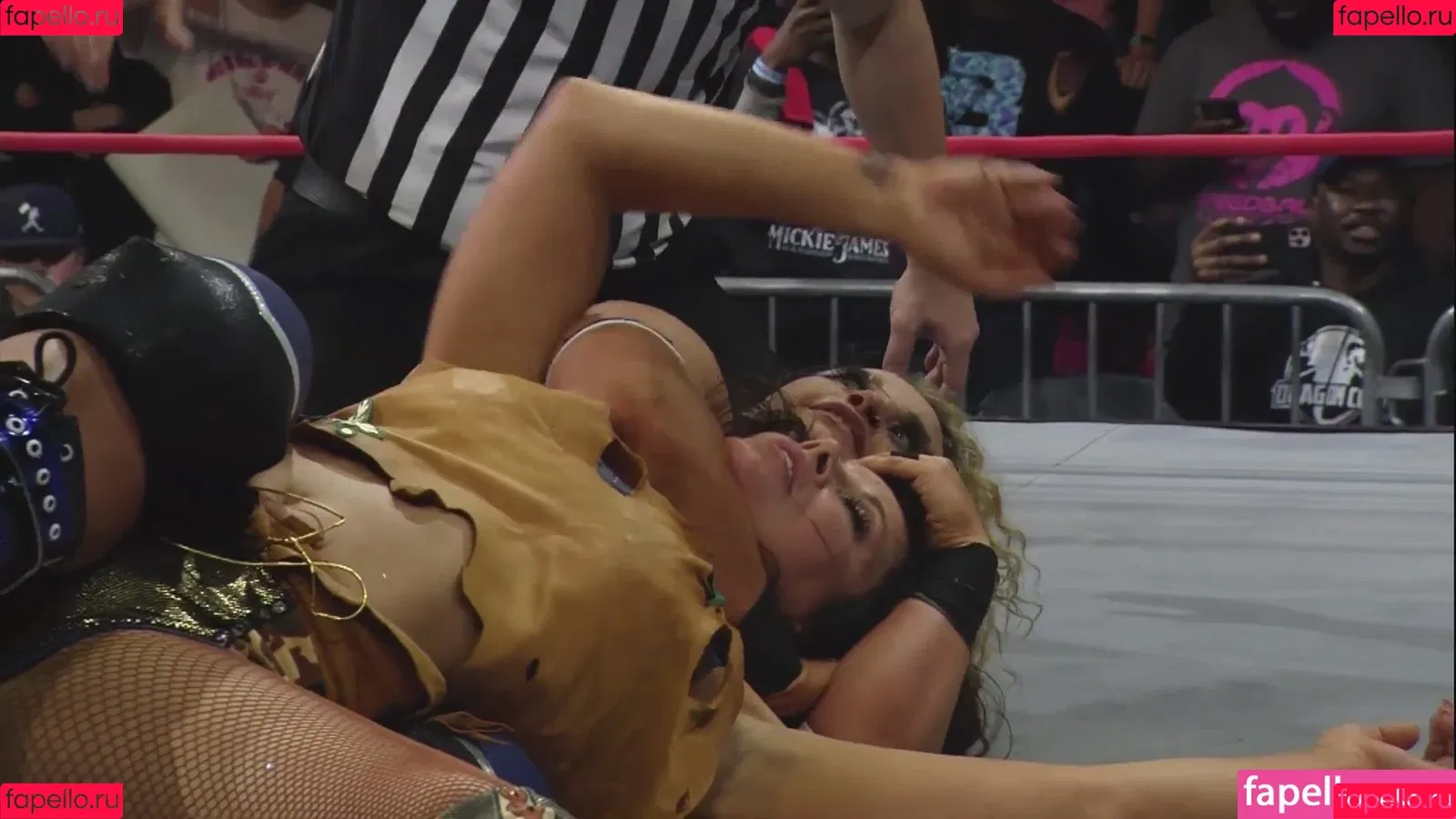 Mickie James Onlyfans Photo Gallery 