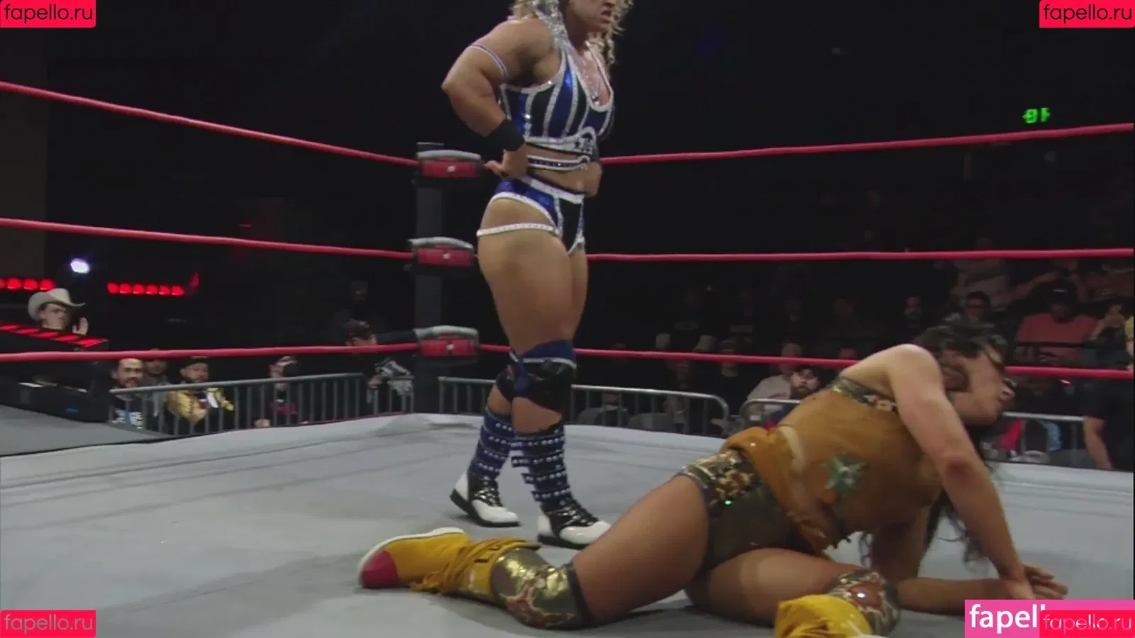 Mickie James Onlyfans Photo Gallery 