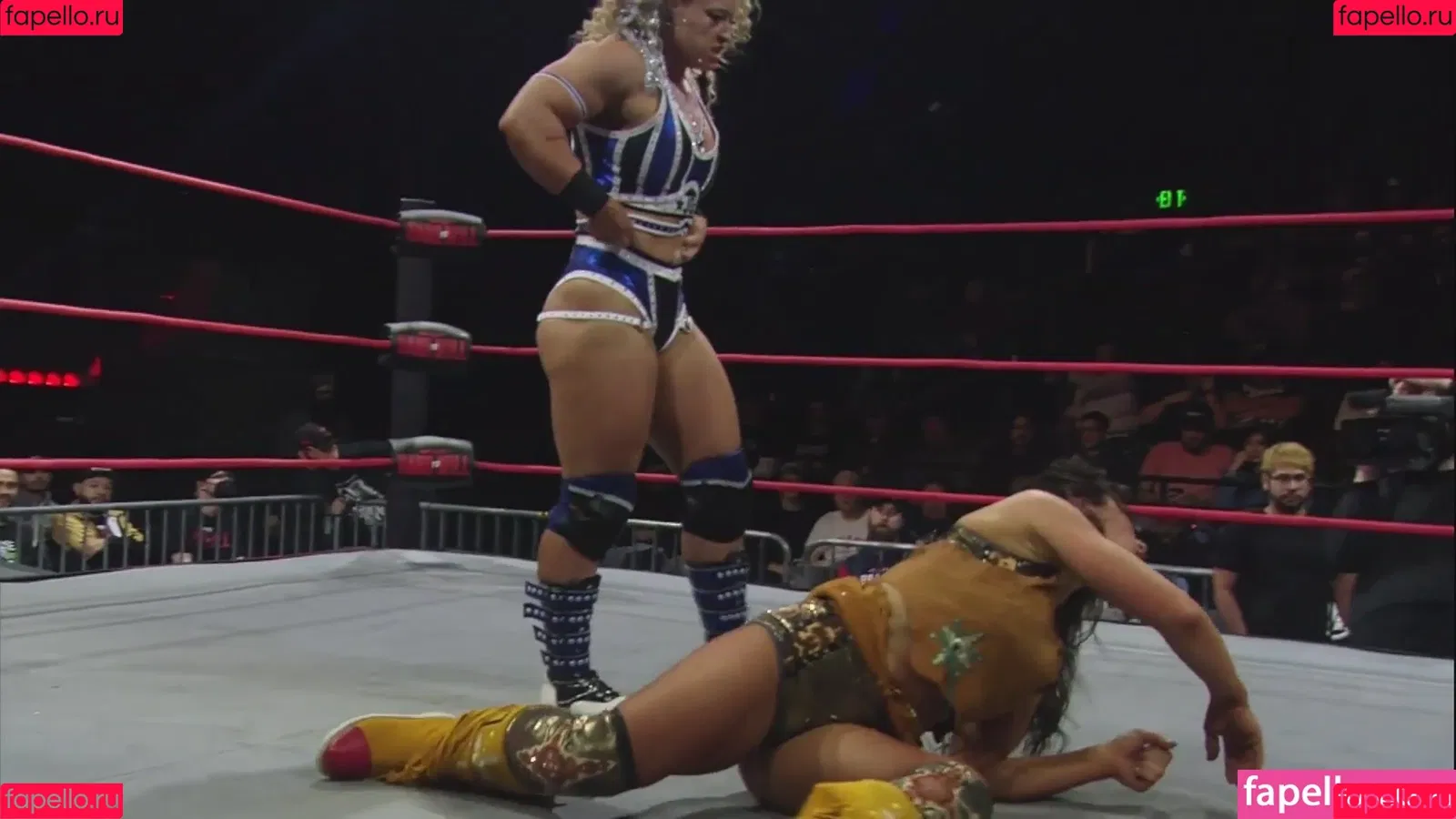 Mickie James Onlyfans Photo Gallery 