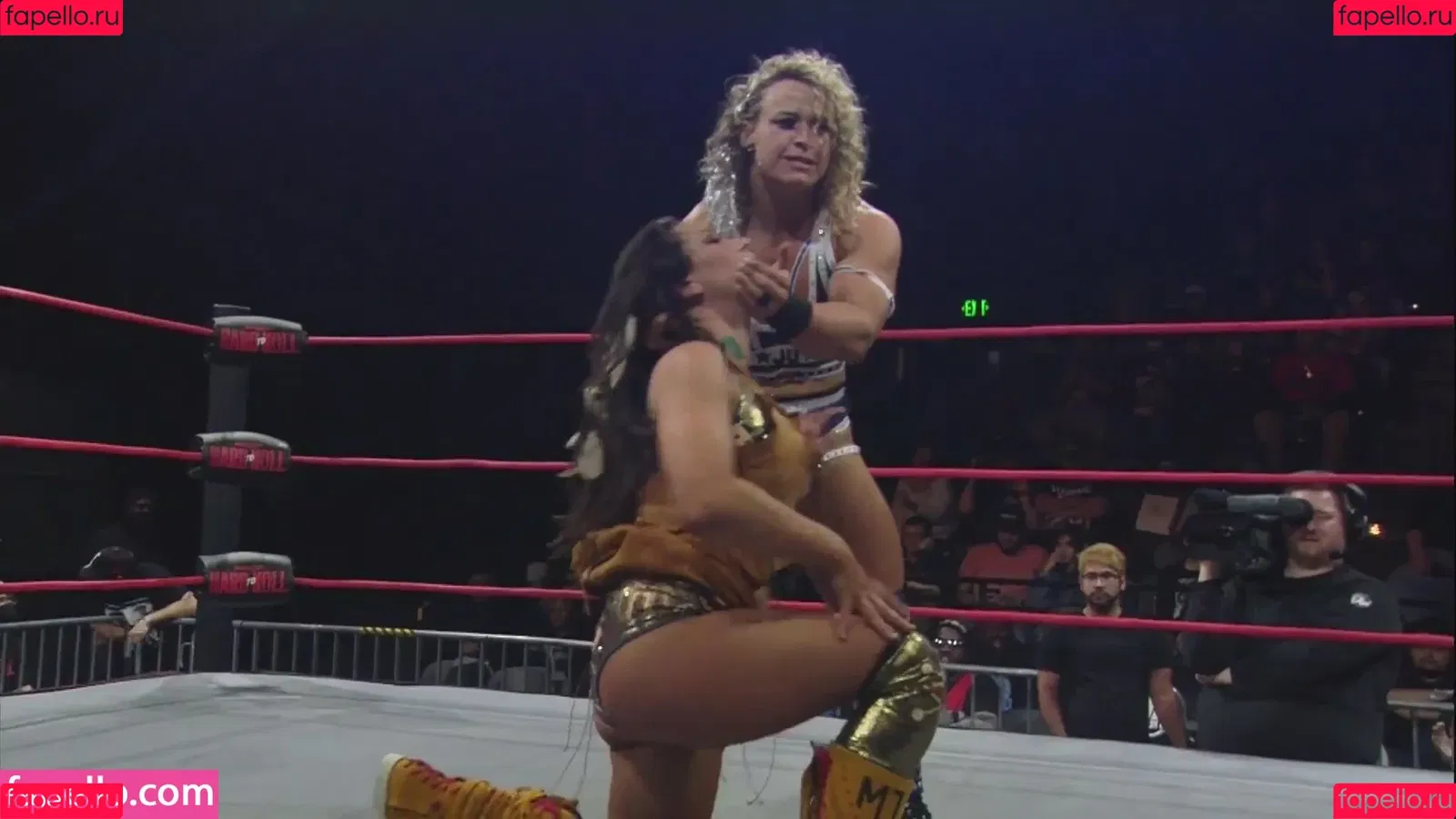 Mickie James Onlyfans Photo Gallery 