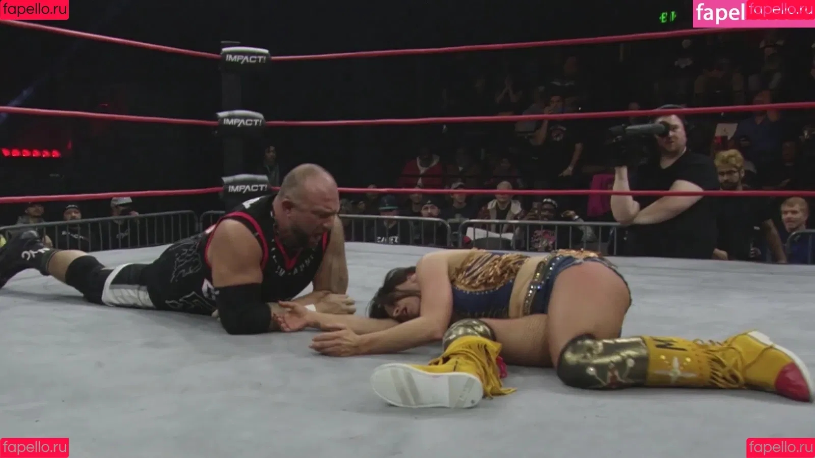 Mickie James Onlyfans Photo Gallery 