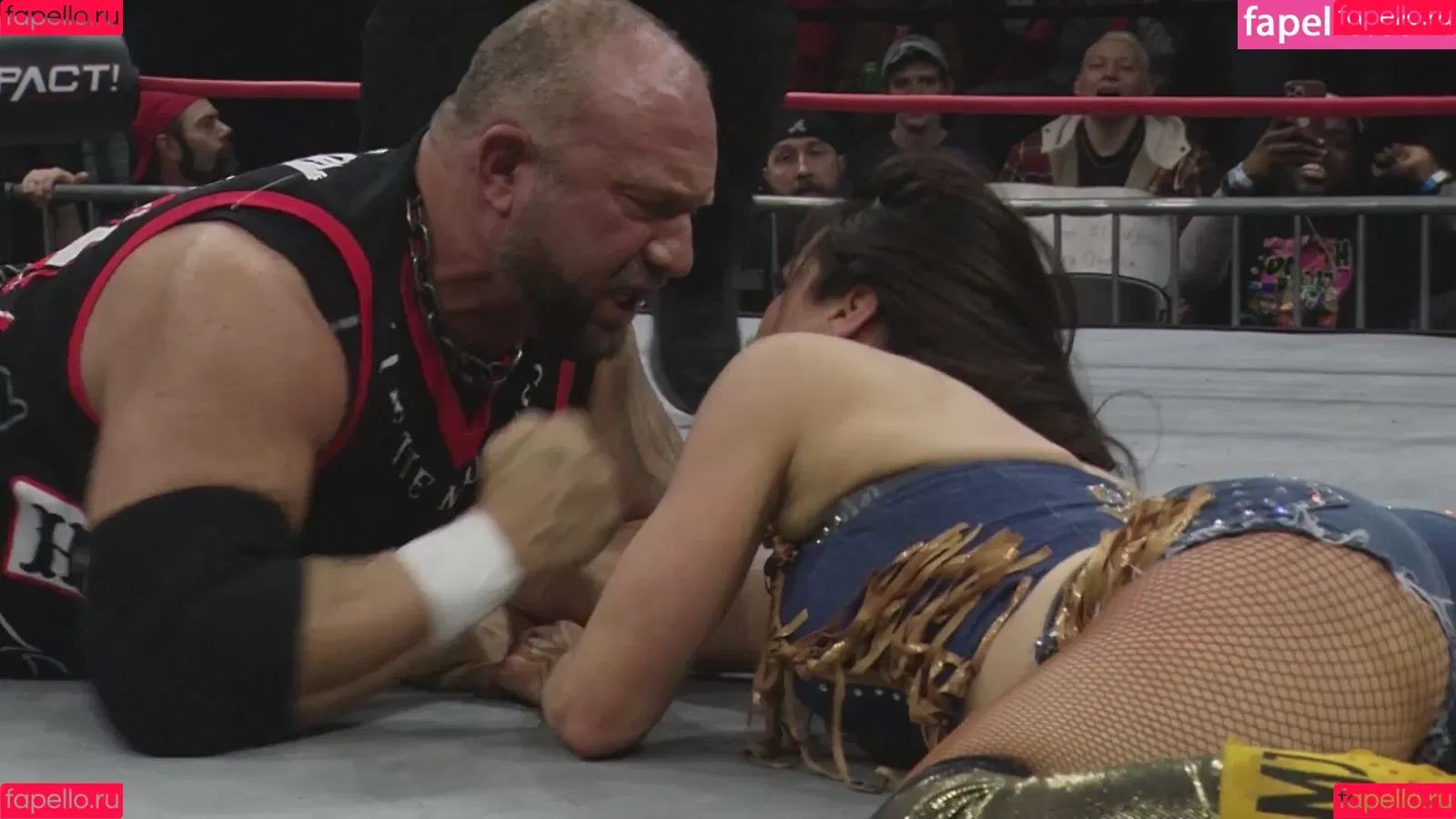 Mickie James Onlyfans Photo Gallery 