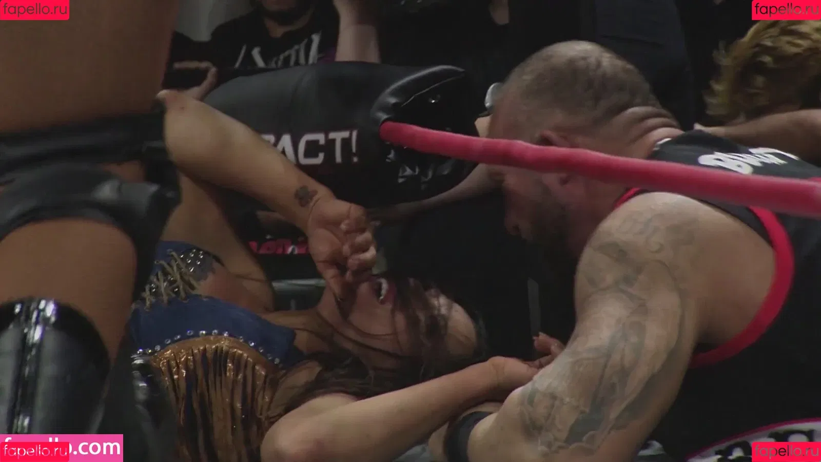 Mickie James Onlyfans Photo Gallery 