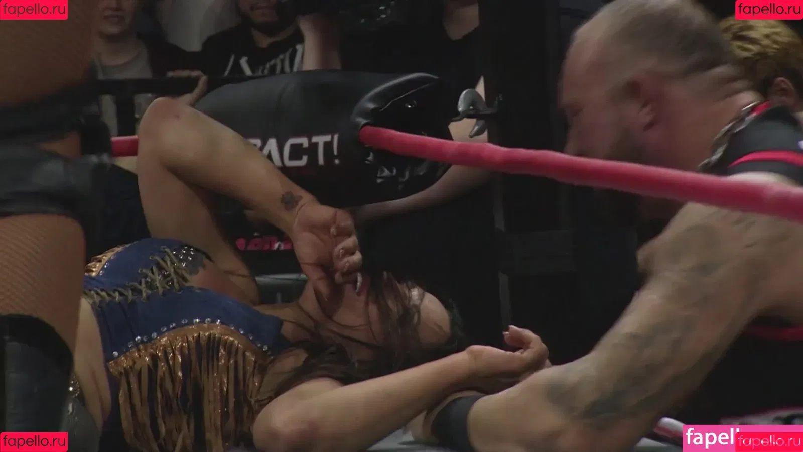 Mickie James Onlyfans Photo Gallery 