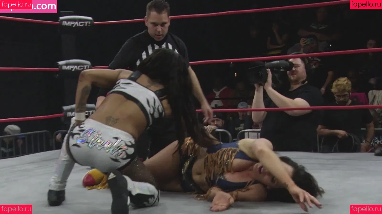 Mickie James Onlyfans Photo Gallery 