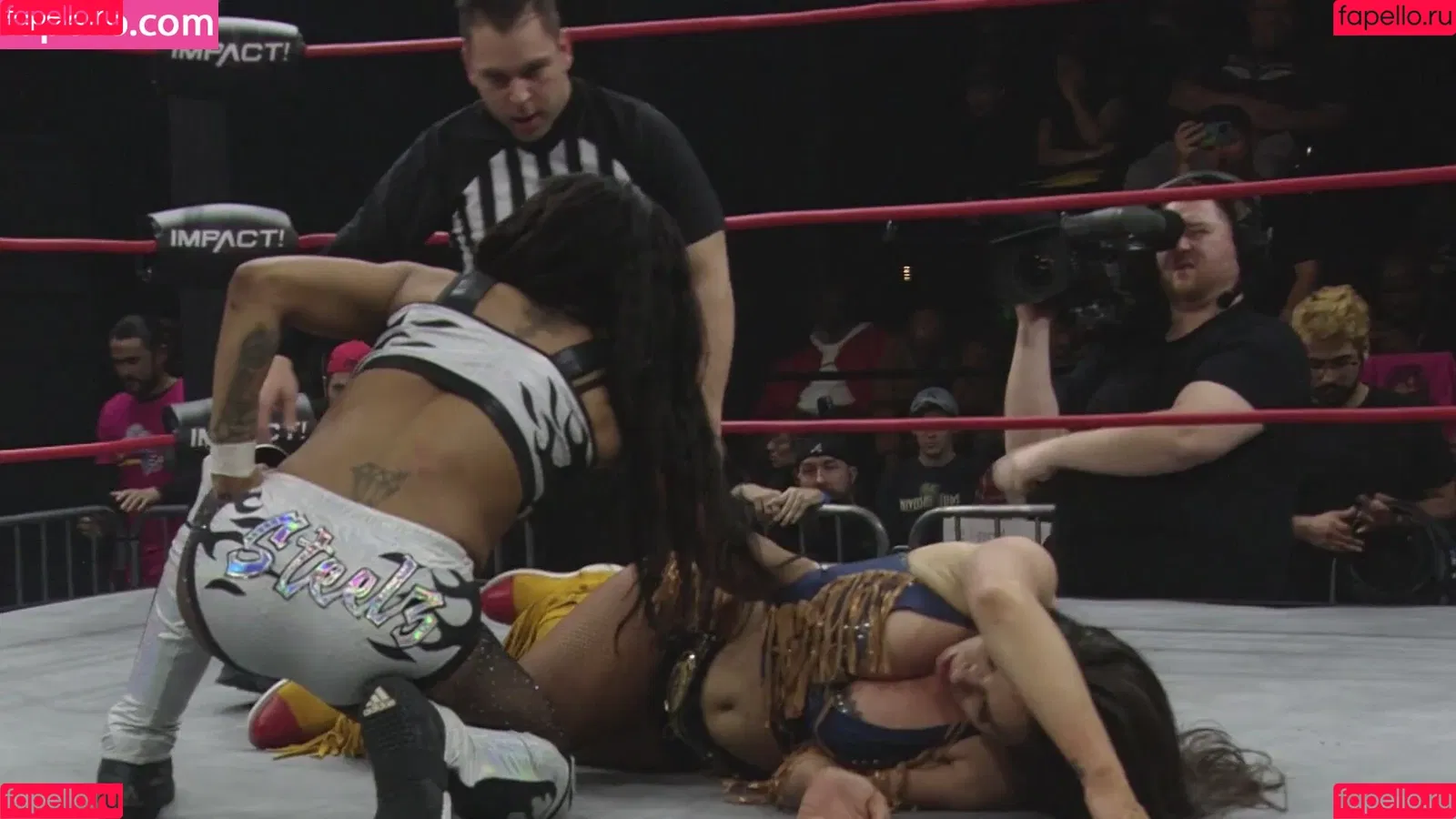 Mickie James Onlyfans Photo Gallery 