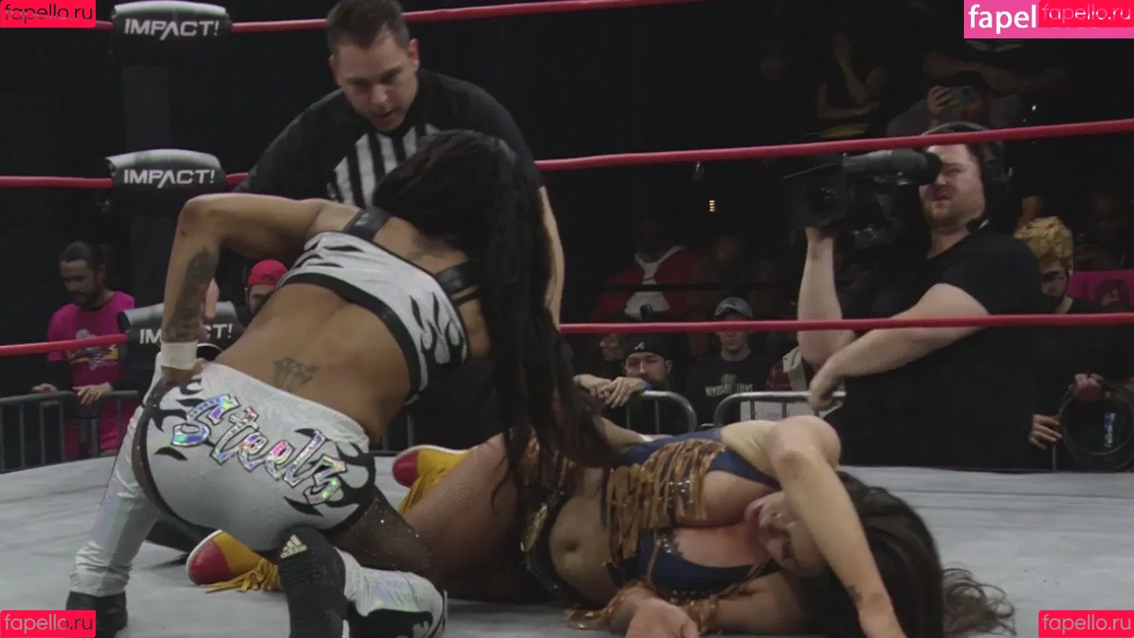 Mickie James Onlyfans Photo Gallery 