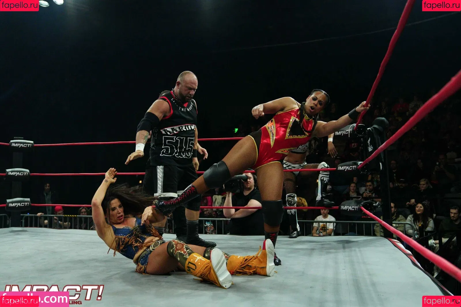 Mickie James Onlyfans Photo Gallery 