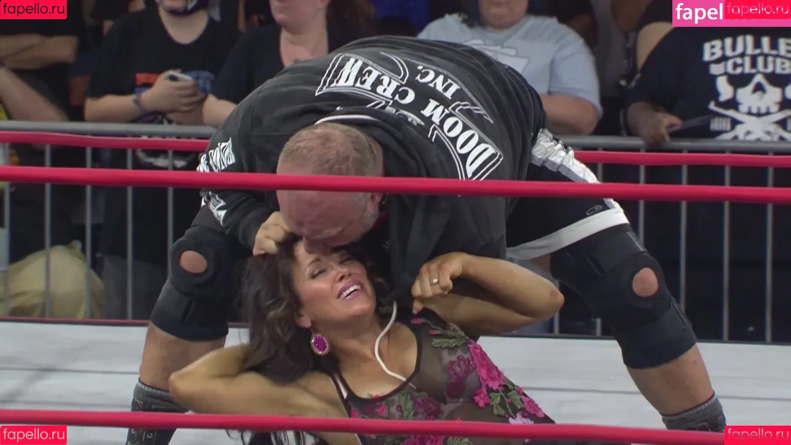 Mickie James Onlyfans Photo Gallery 