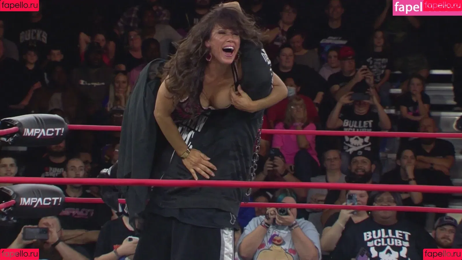 Mickie James Onlyfans Photo Gallery 