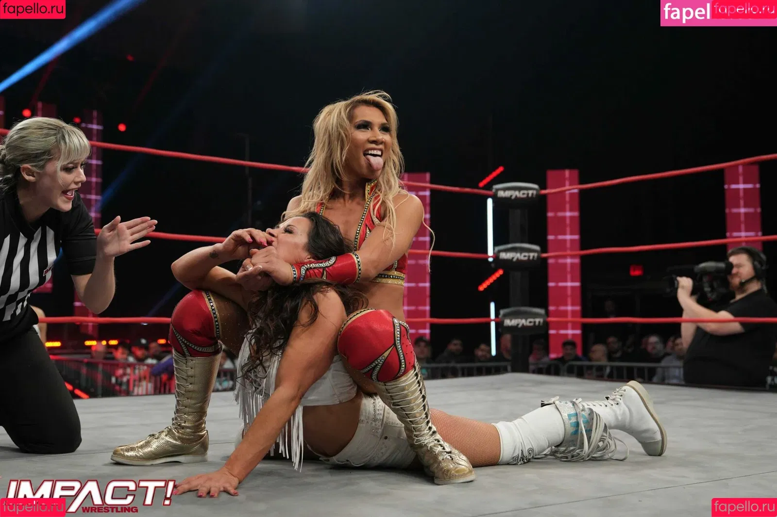 Mickie James Onlyfans Photo Gallery 
