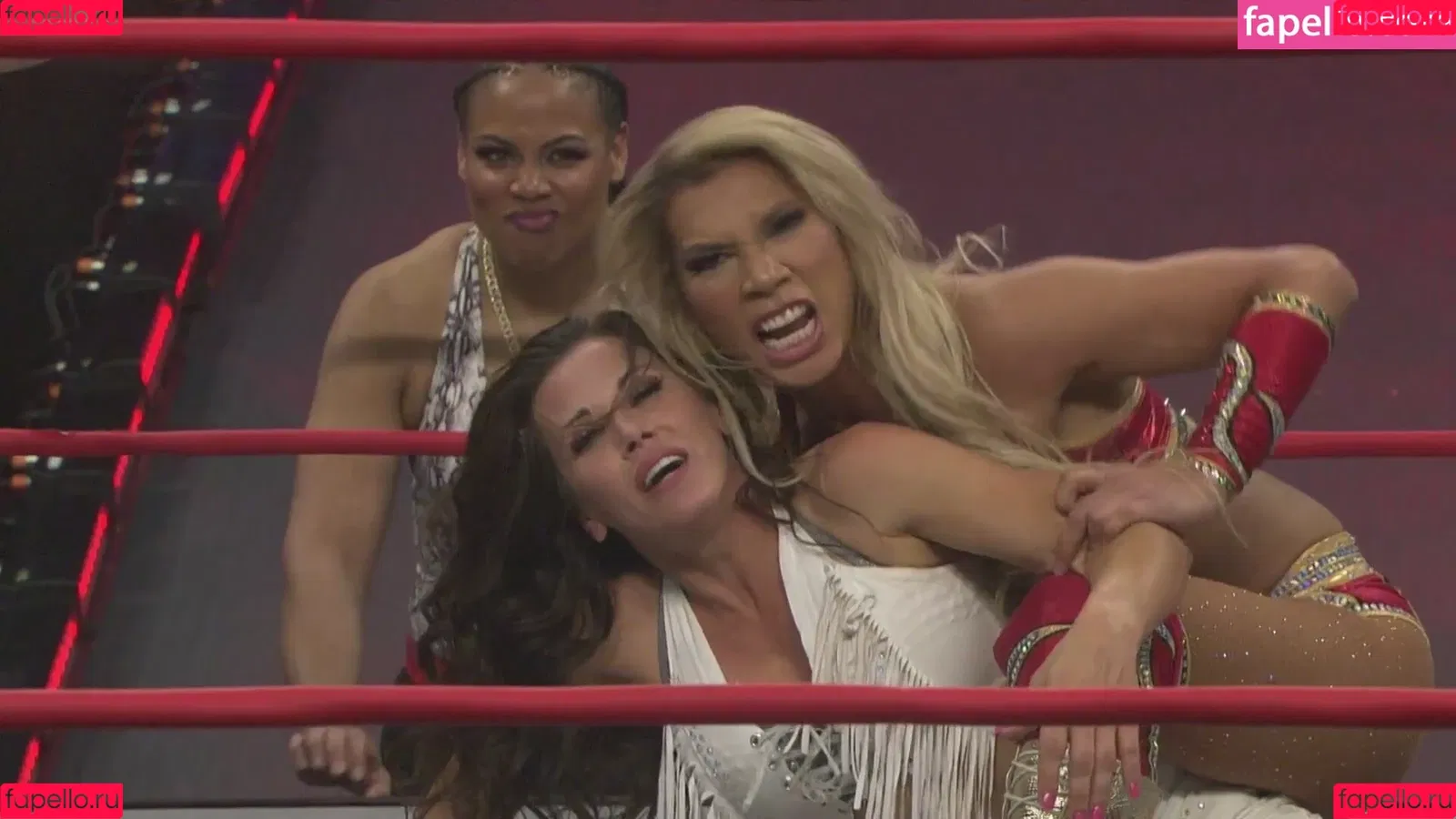 Mickie James Onlyfans Photo Gallery 
