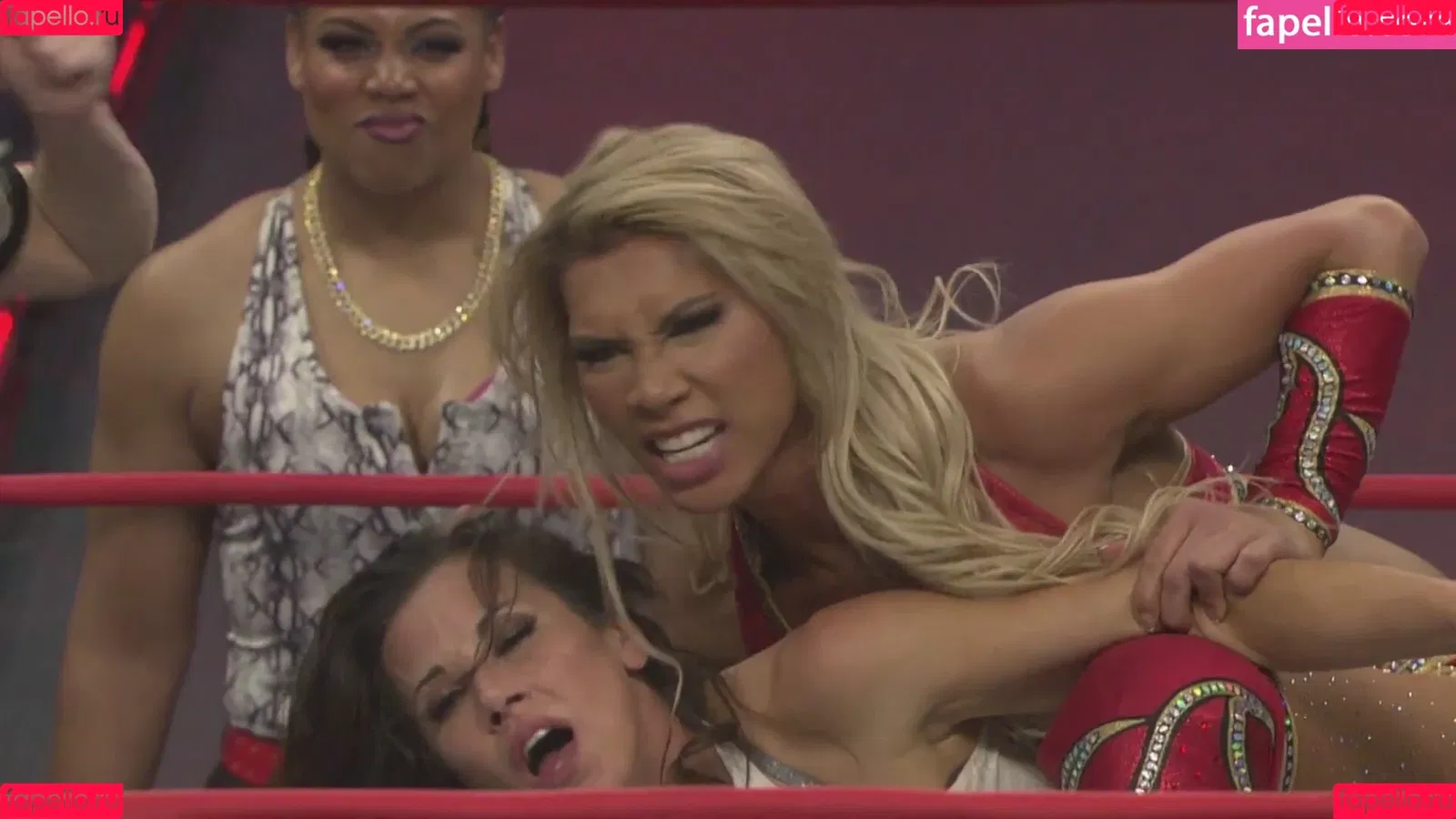 Mickie James Onlyfans Photo Gallery 