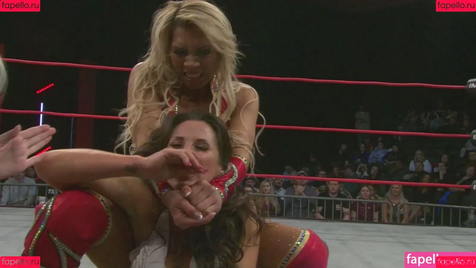 Mickie James Onlyfans Photo Gallery 