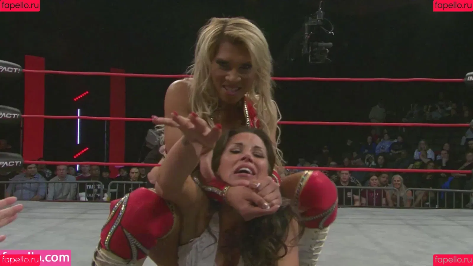 Mickie James Onlyfans Photo Gallery 