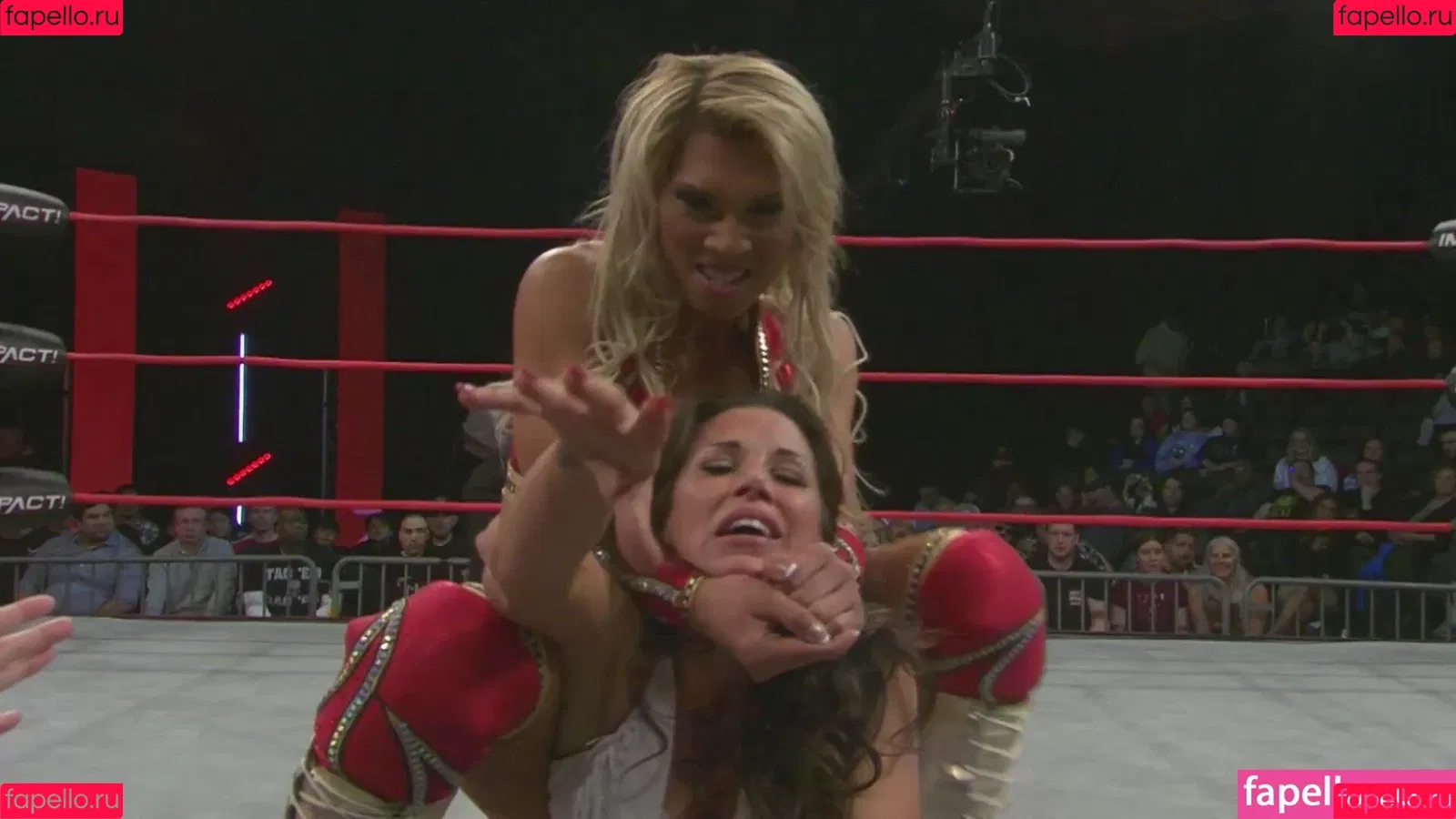 Mickie James Onlyfans Photo Gallery 