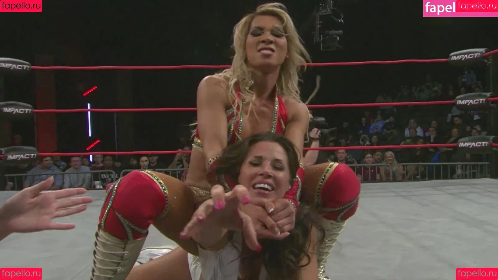 Mickie James Onlyfans Photo Gallery 
