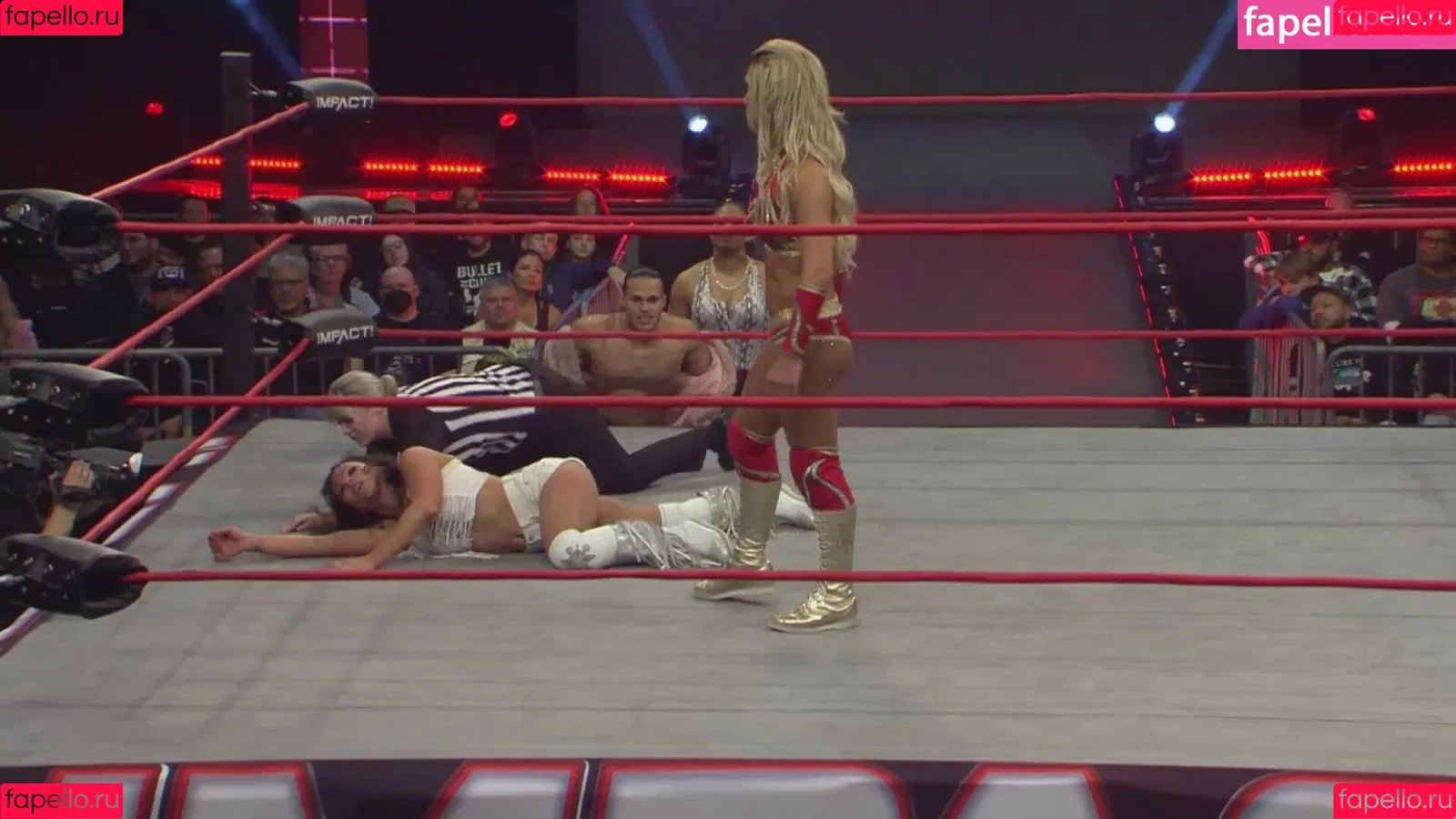 Mickie James Onlyfans Photo Gallery 
