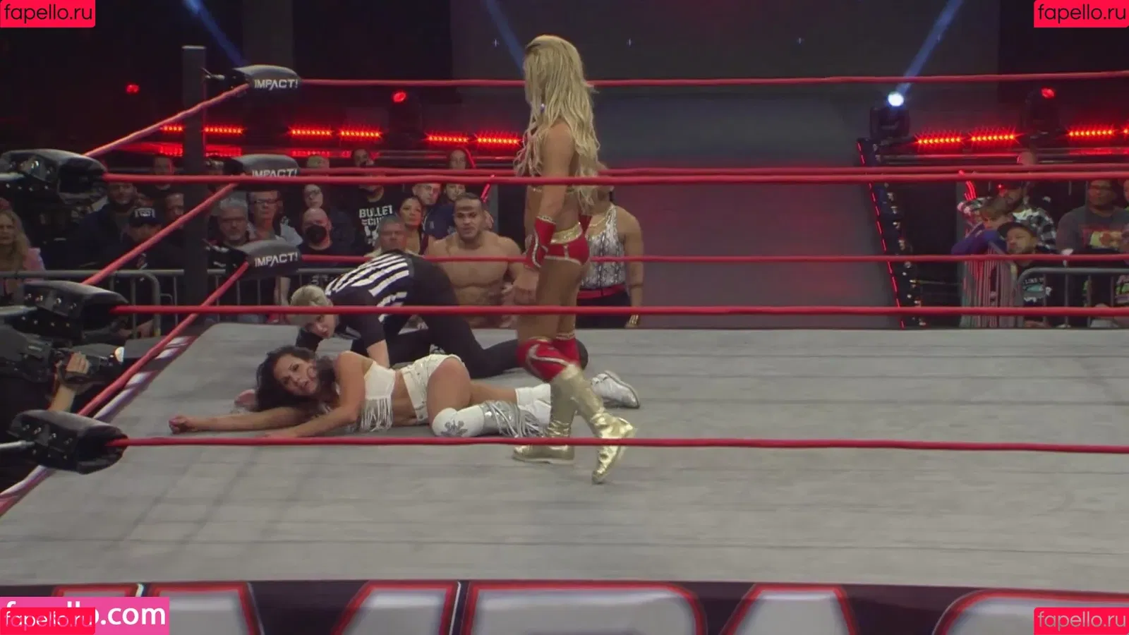 Mickie James Onlyfans Photo Gallery 