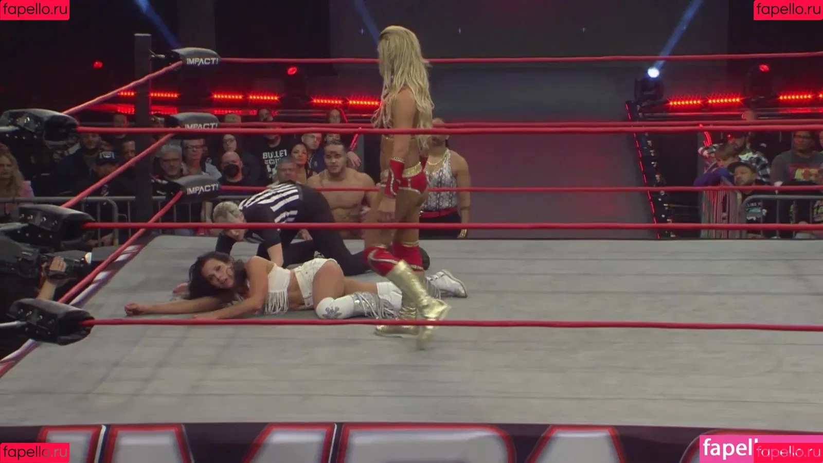 Mickie James Onlyfans Photo Gallery 