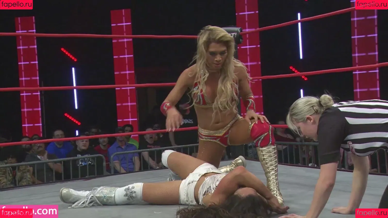Mickie James Onlyfans Photo Gallery 