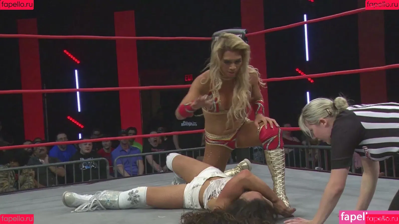 Mickie James Onlyfans Photo Gallery 