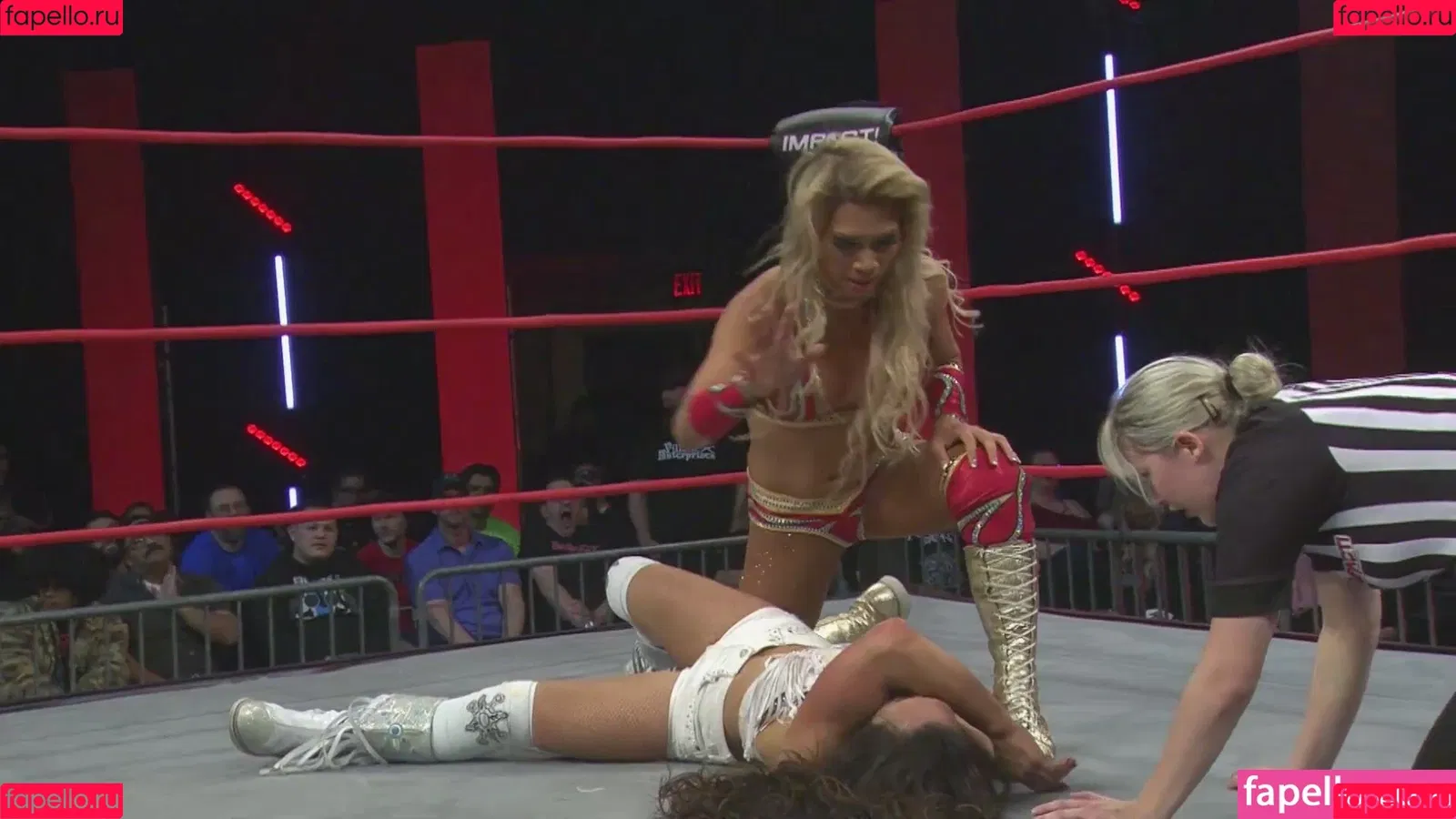 Mickie James Onlyfans Photo Gallery 