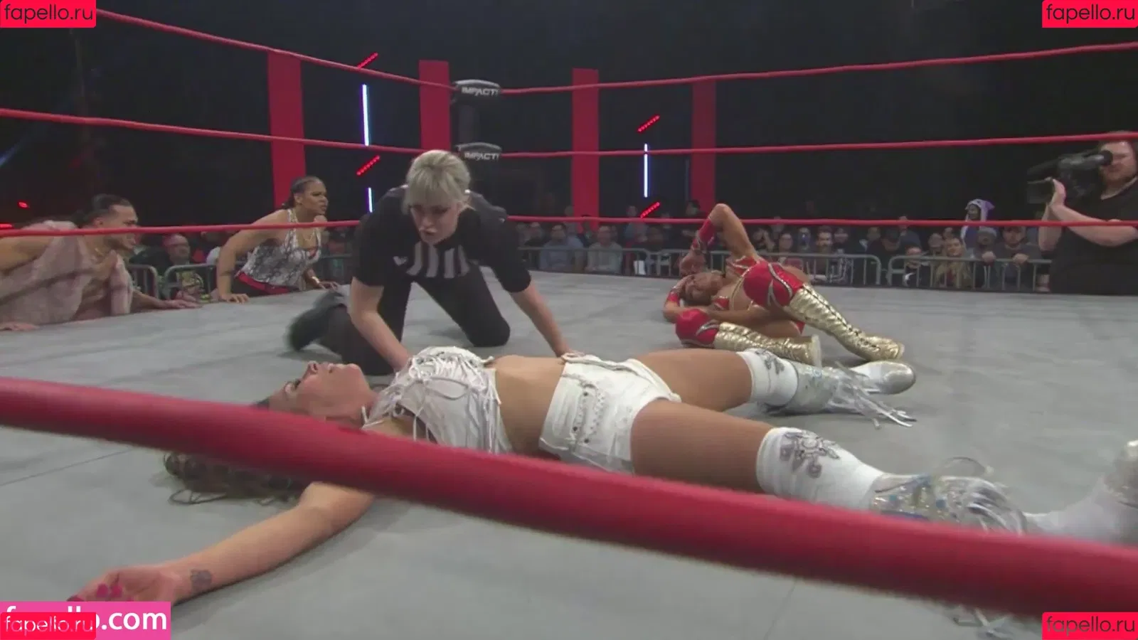 Mickie James Onlyfans Photo Gallery 