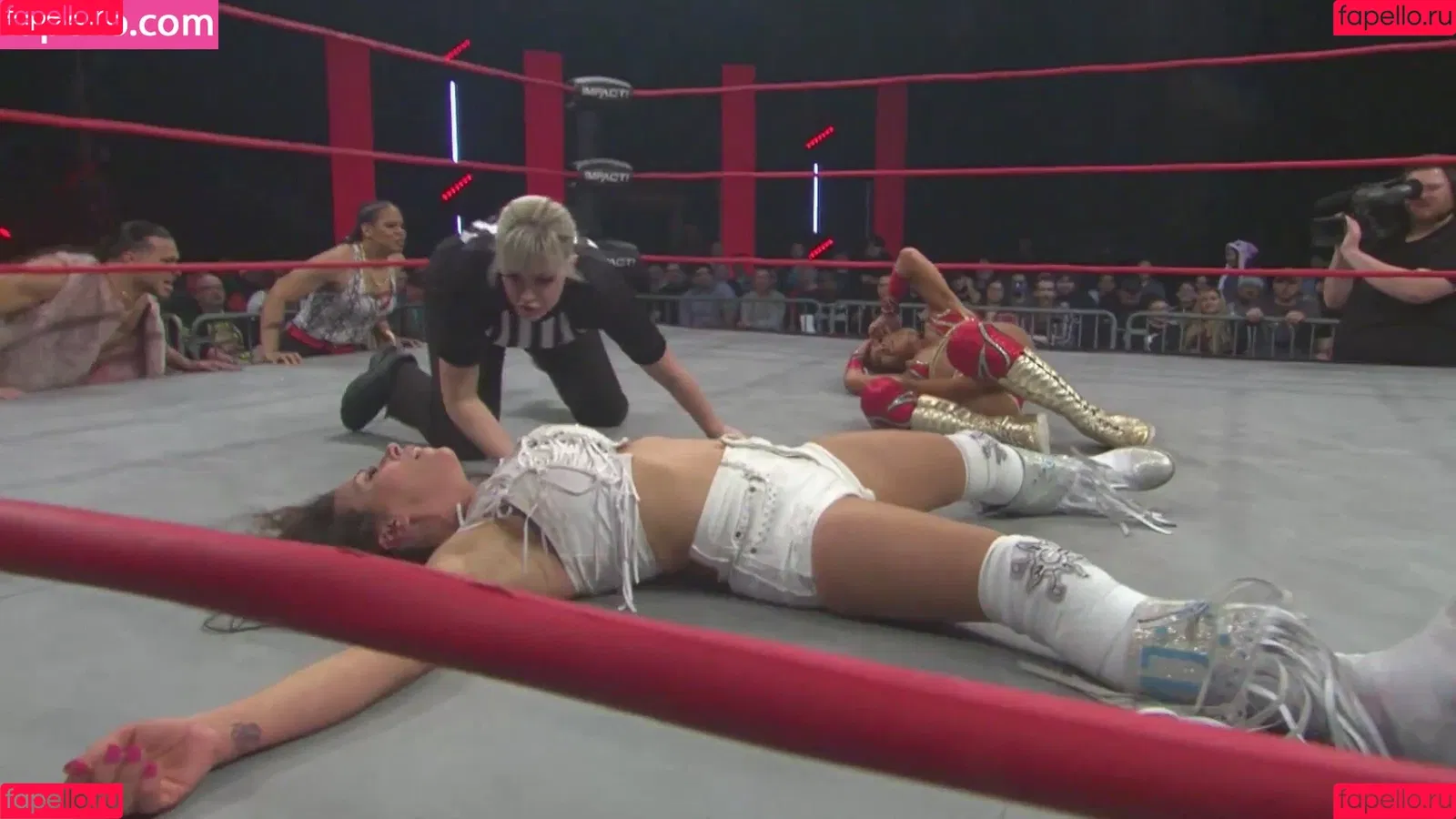 Mickie James Onlyfans Photo Gallery 
