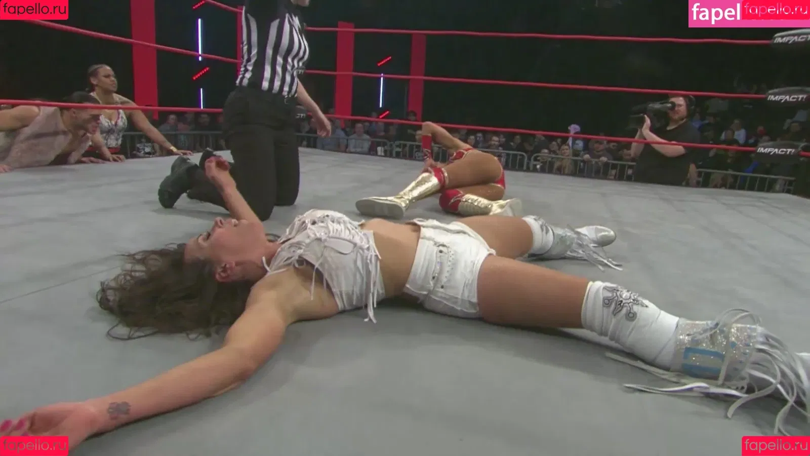 Mickie James Onlyfans Photo Gallery 