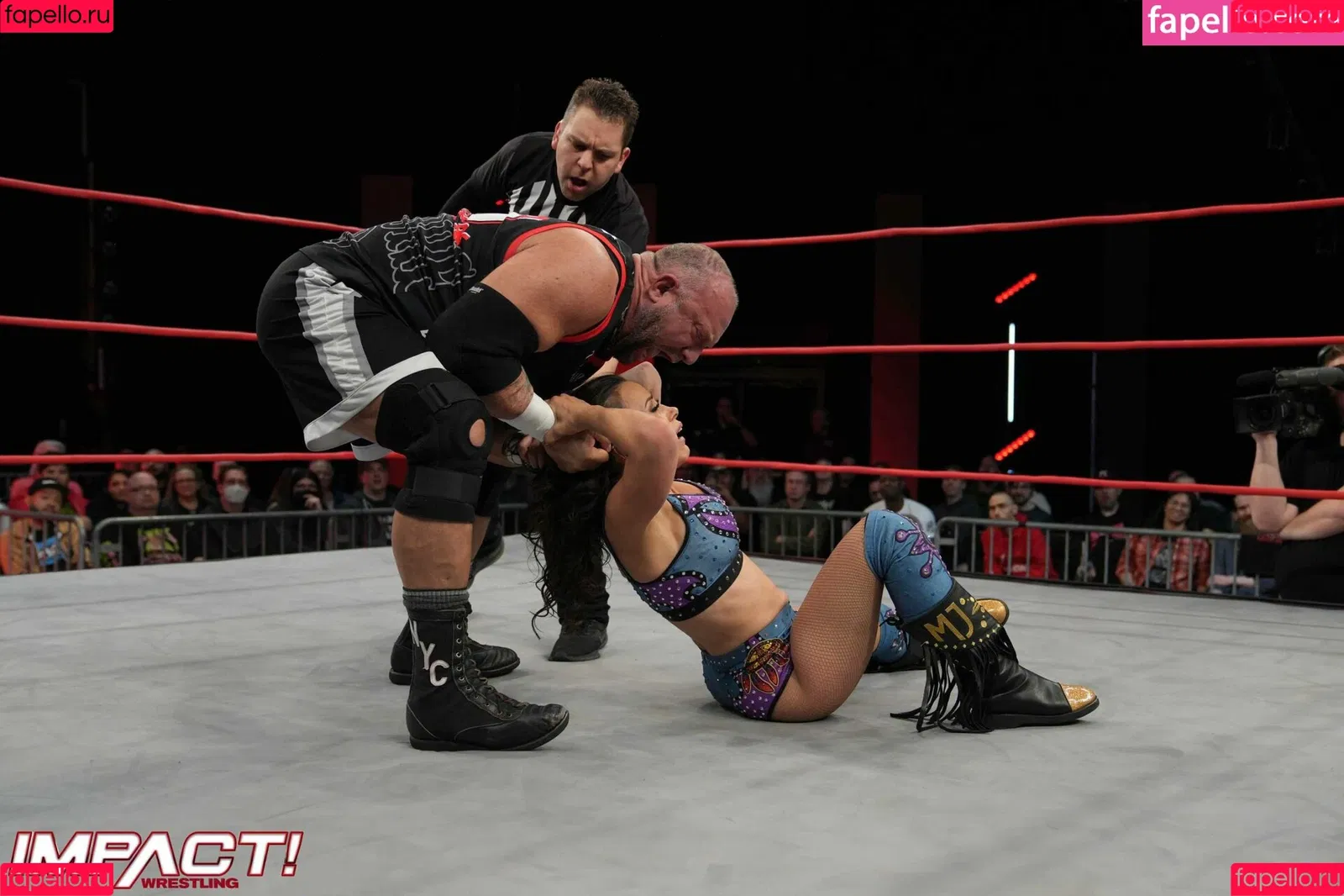 Mickie James Onlyfans Photo Gallery 