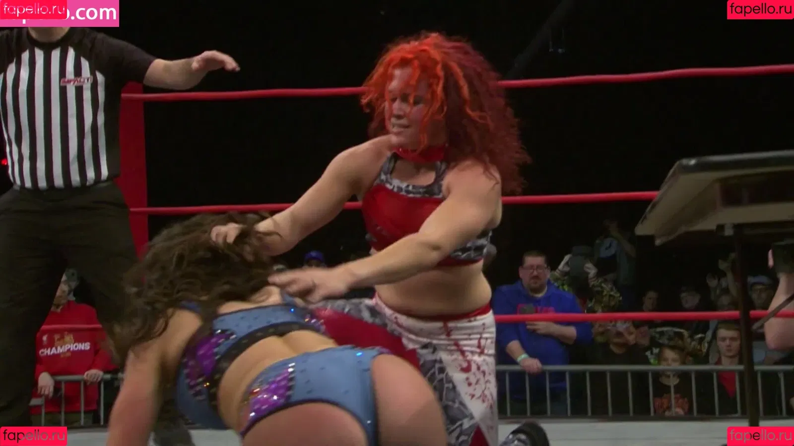 Mickie James Onlyfans Photo Gallery 
