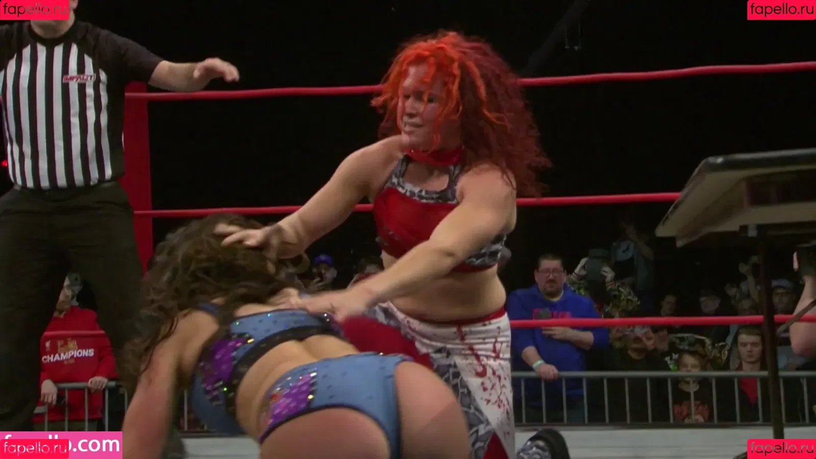 Mickie James Onlyfans Photo Gallery 