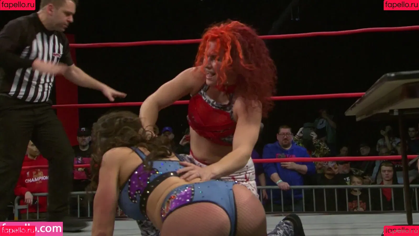 Mickie James Onlyfans Photo Gallery 