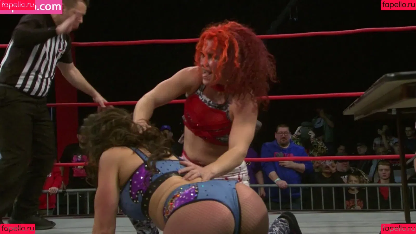 Mickie James Onlyfans Photo Gallery 