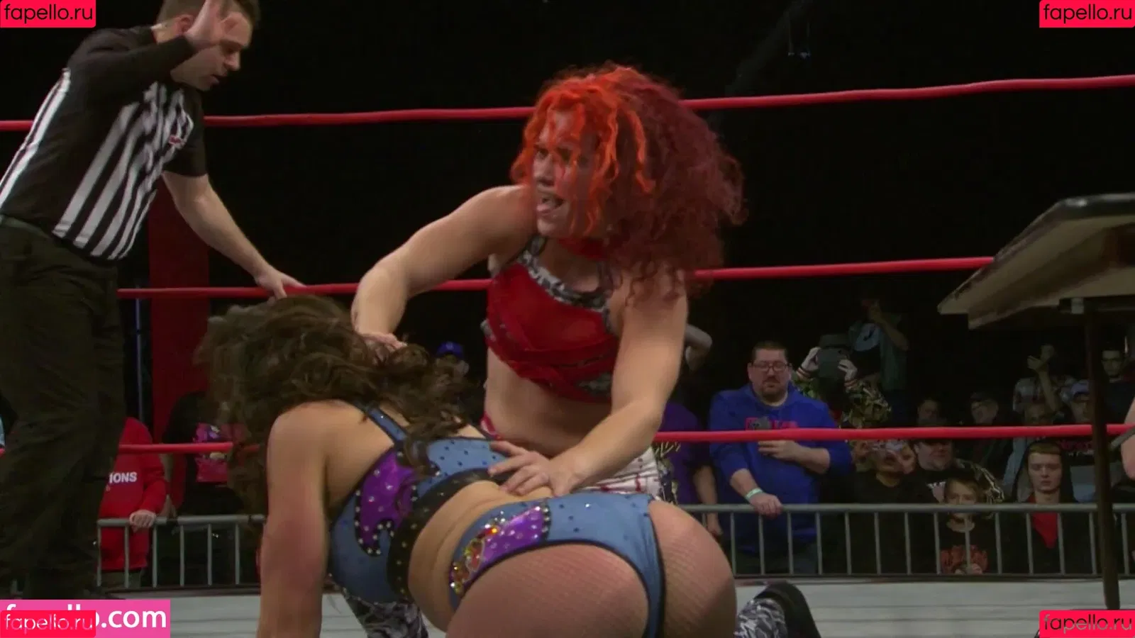 Mickie James Onlyfans Photo Gallery 