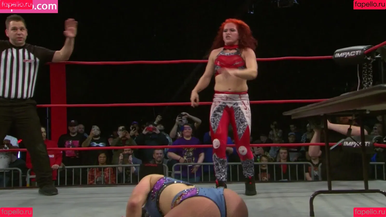 Mickie James Onlyfans Photo Gallery 