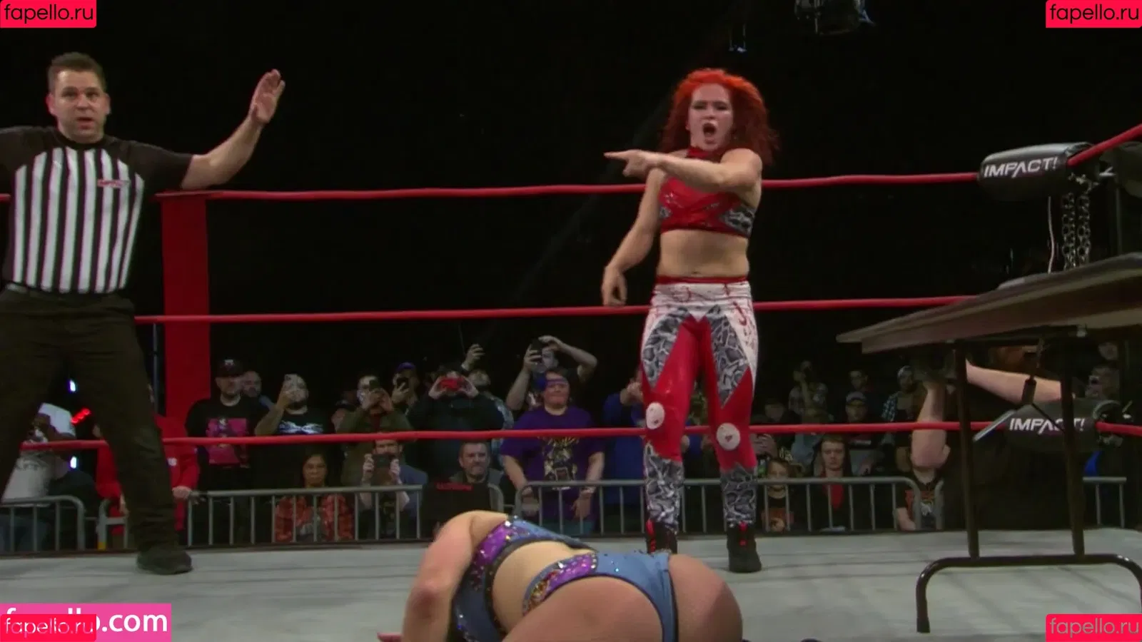 Mickie James Onlyfans Photo Gallery 