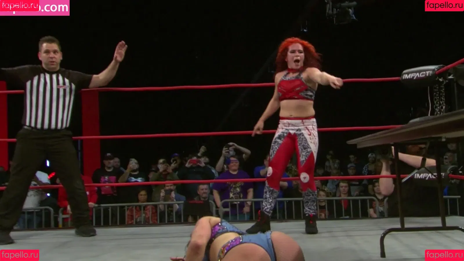 Mickie James Onlyfans Photo Gallery 