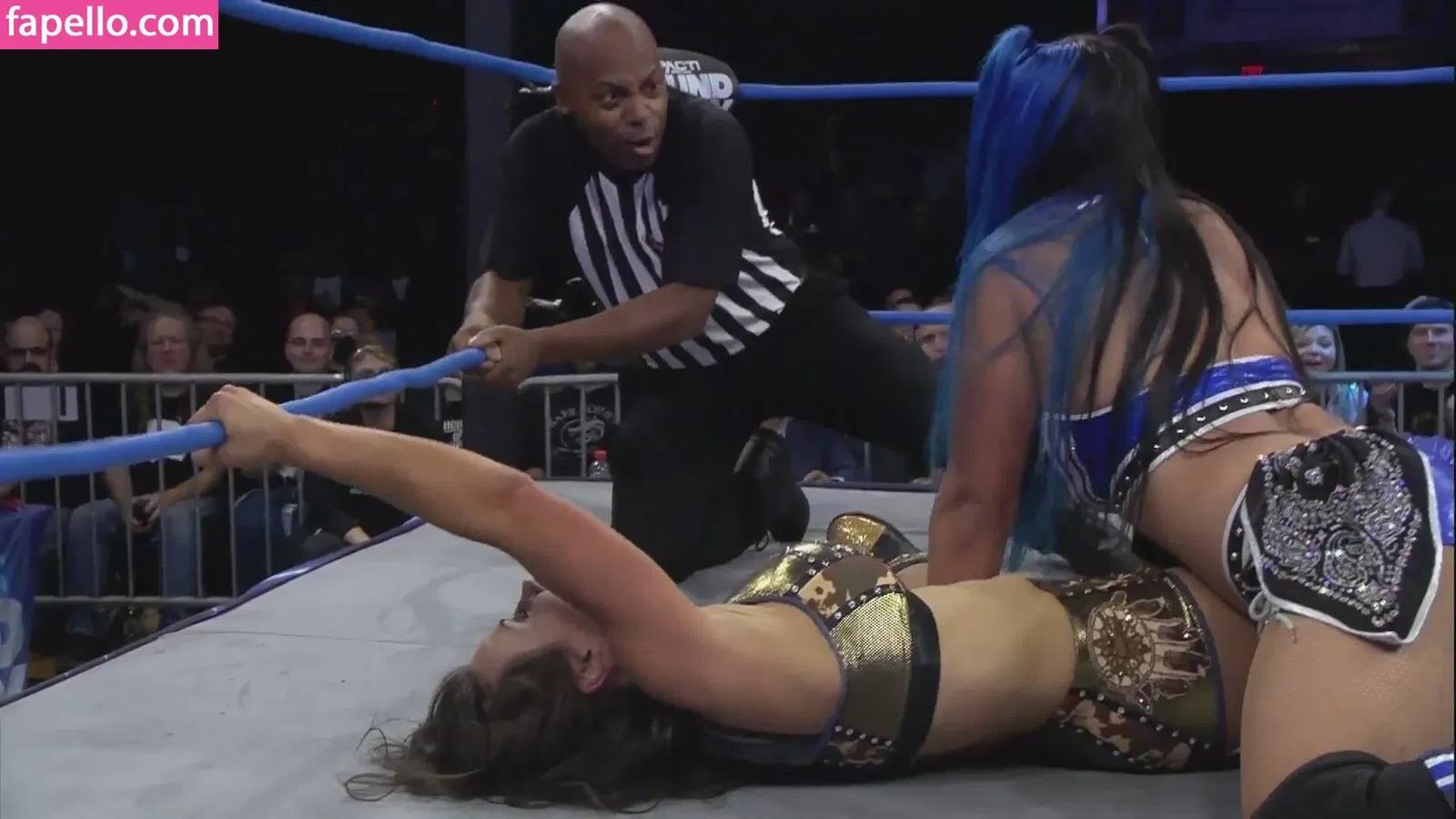 Mickie James Onlyfans Photo Gallery 