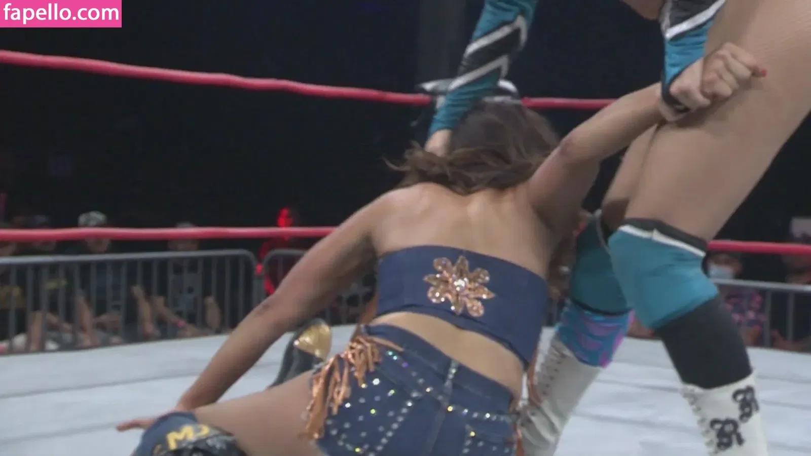 Mickie James Onlyfans Photo Gallery 