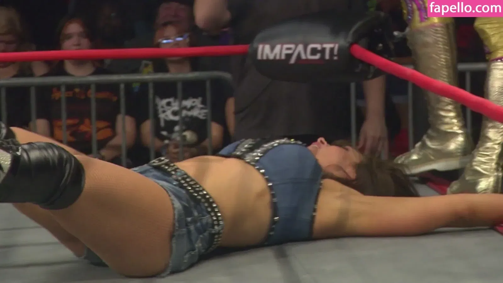 Mickie James Onlyfans Photo Gallery 