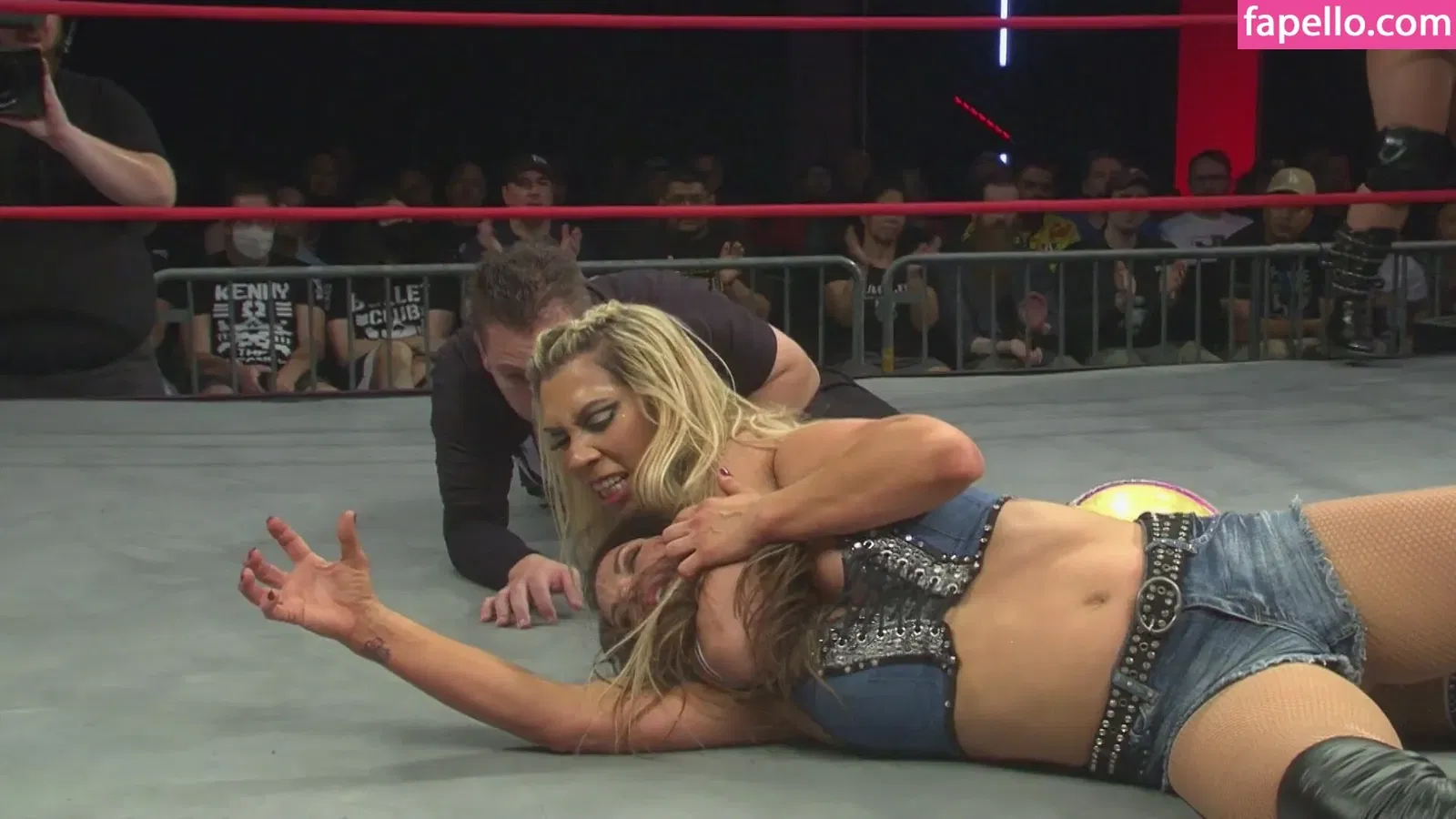 Mickie James Onlyfans Photo Gallery 