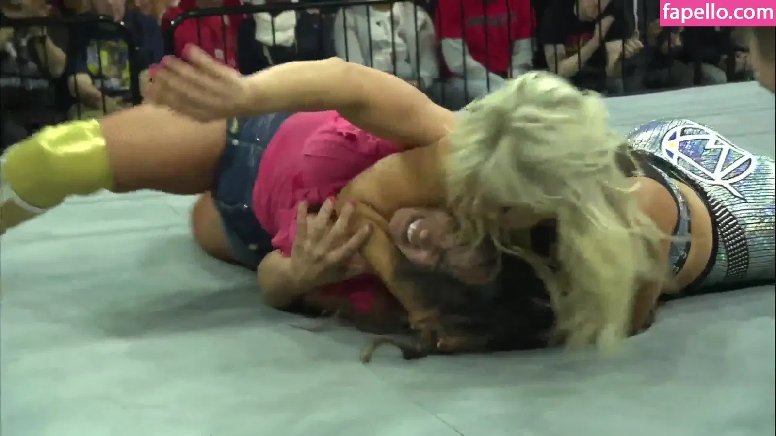 Mickie James Onlyfans Photo Gallery 