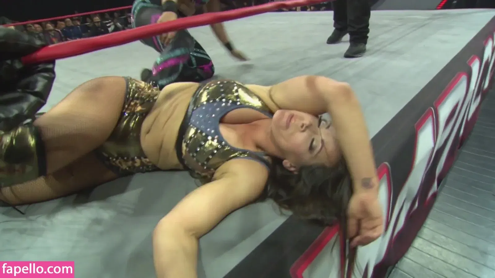 Mickie James Onlyfans Photo Gallery 